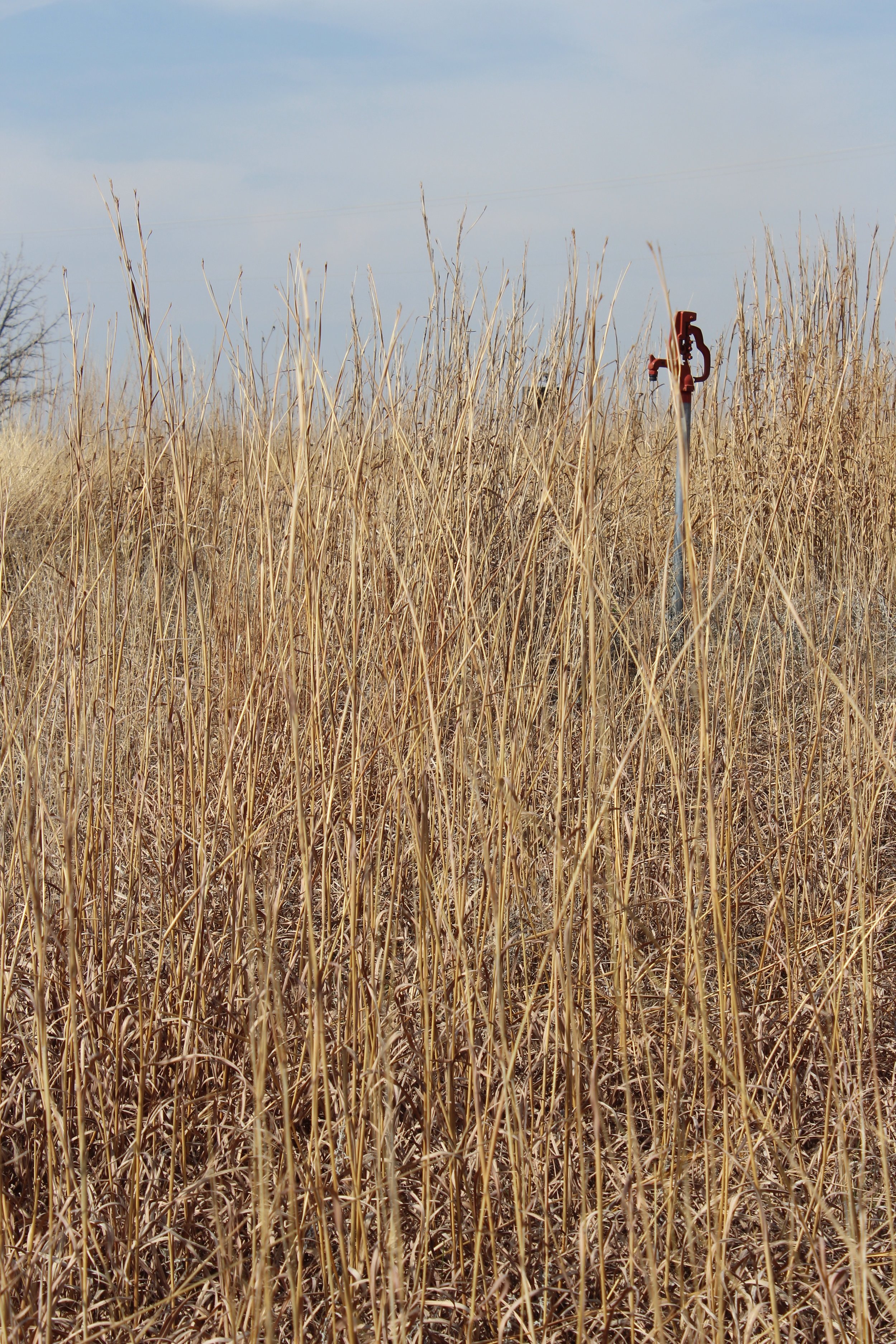 Slow Food Nations: History of US Agriculture Workshop
