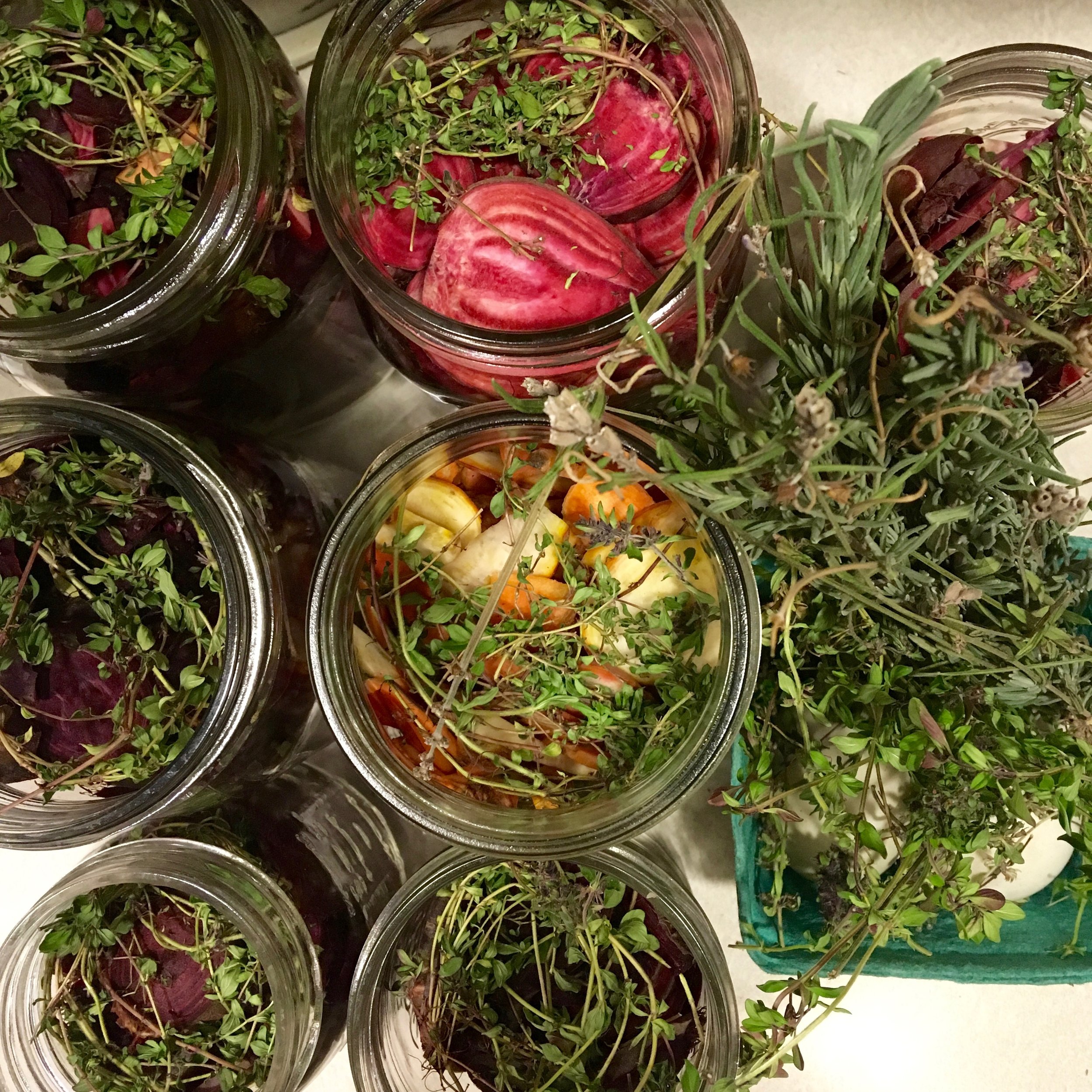 Wild Food Foraging Workshop