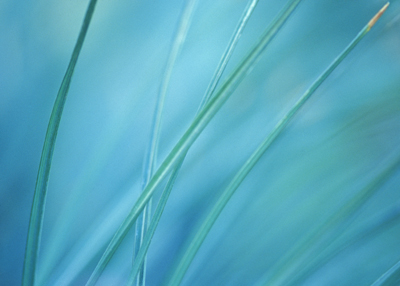 Landscape Photography 